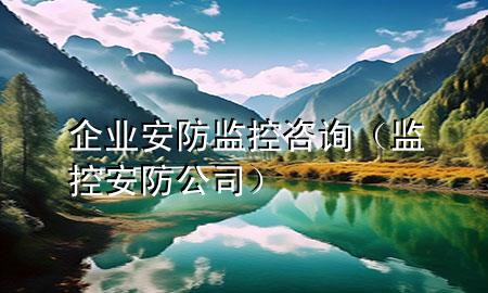 企业安防监控咨询（监控安防公司）