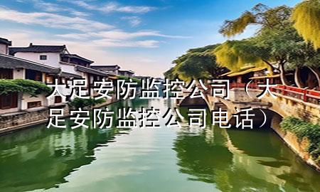 大足安防监控公司（大足安防监控公司电话）