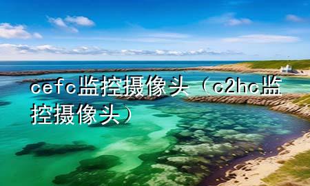 cefc监控摄像头（c2hc监控摄像头）