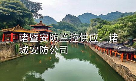 诸暨安防监控供应，诸城安防公司