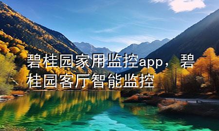 碧桂园家用监控app，碧桂园客厅智能监控