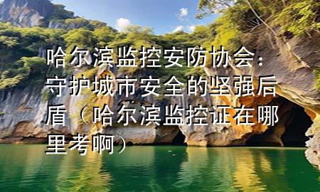 哈尔滨监控安防协会：守护城市安全的坚强后盾（哈尔滨监控证在哪里考啊）