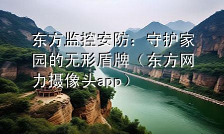 东方监控安防：守护家园的无形盾牌（东方网力摄像头app）