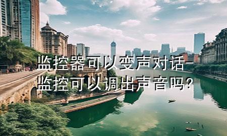 监控器可以变声对话-监控可以调出声音吗?