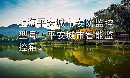 上海平安城市安防监控型号（平安城市智能监控箱）
