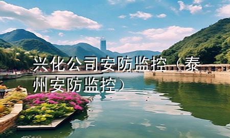 兴化公司安防监控（泰州安防监控）