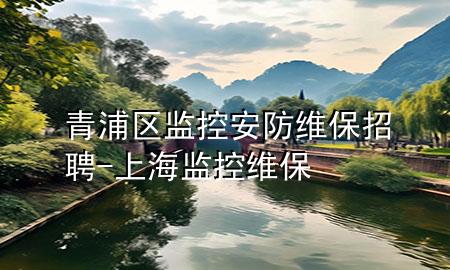 青浦区监控安防维保招聘-上海监控维保