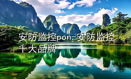 安防监控pon-安防监控十大品牌