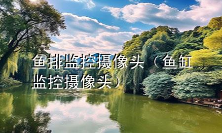 鱼排监控摄像头（鱼缸监控摄像头）