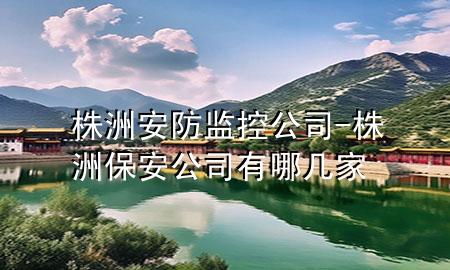 株洲 安防监控公司-株洲保安公司有哪几家