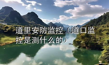 道里安防监控（道口监控是测什么的）