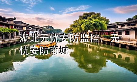 湖北无忧安防监控，无忧安防商城