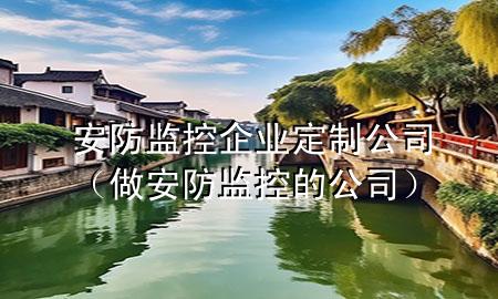 安防监控企业定制公司（做安防监控的公司）