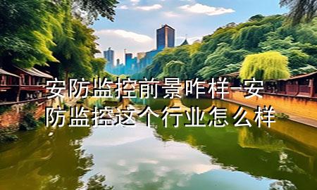 安防监控前景咋样-安防监控这个行业怎么样