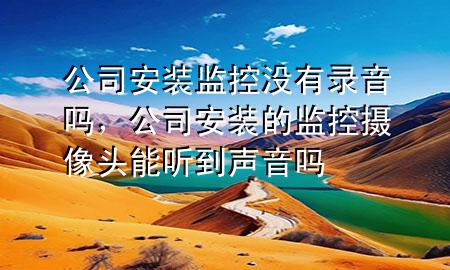 公司安装监控没有录音吗，公司安装的监控摄像头能听到声音吗