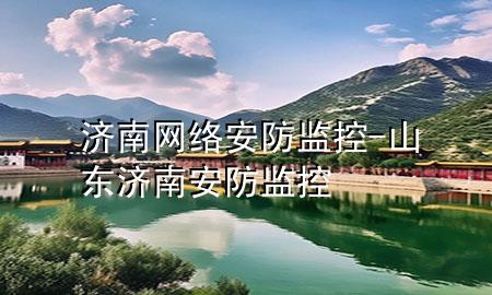 济南网络安防监控-山东济南安防监控