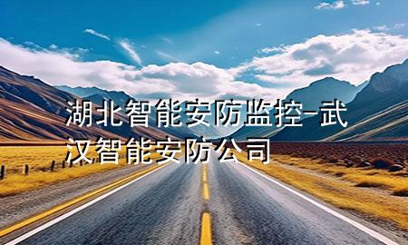 湖北智能安防监控-武汉智能安防公司