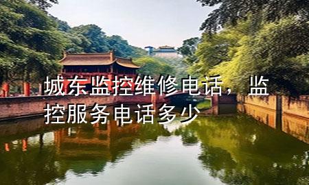 城东监控维修电话，监控服务电话多少